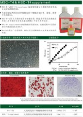 MSC-T4  無(wú)血清培養(yǎng)基
