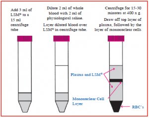 淋巴細(xì)胞分離液(LSM)以離心方式分離活淋巴細(xì)胞